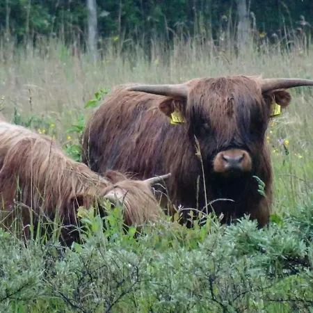 Prachtige Woning Aan De Duinen *